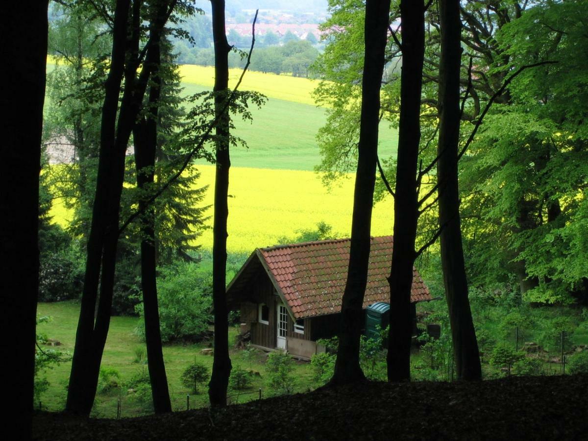 Kleine Wohnung Mit Terrasse Dülmen Dış mekan fotoğraf